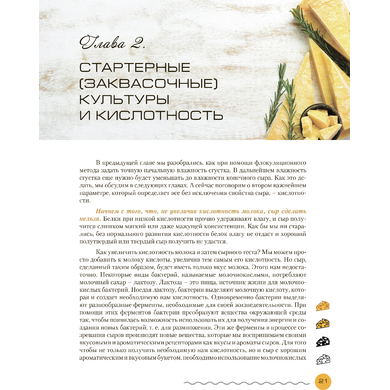 Книга "Современное сыроделие для всех", П.И. Чечулин